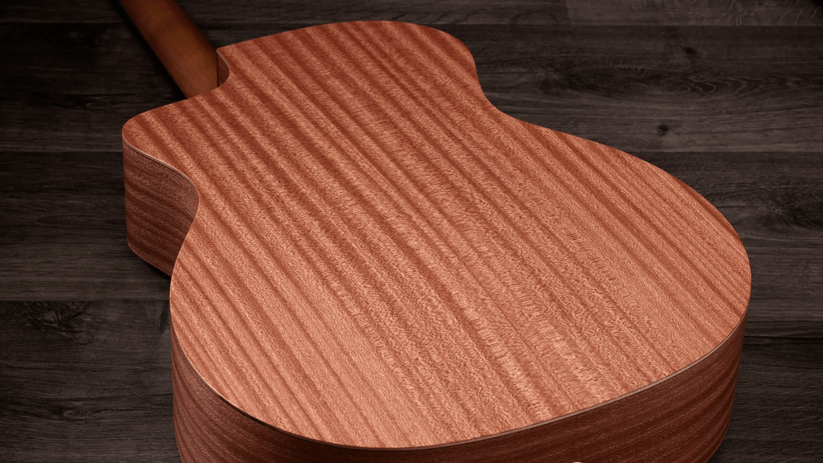 Taylor 14CE Grand Auditorium Single Cut A/E Guitar (Solid Spruce Top) - Ray's Midbell Music