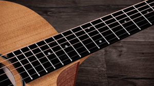 Taylor 14CE Grand Auditorium Single Cut A/E Guitar (Solid Spruce Top) - Ray's Midbell Music