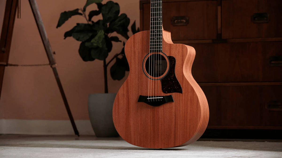 Taylor 24CE Grand Auditorium Single Cut A/E Guitar (Natural Mahogany) - Ray's Midbell Music