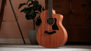 Taylor 24CE Grand Auditorium Single Cut A/E Guitar (Natural Mahogany) - Ray's Midbell Music