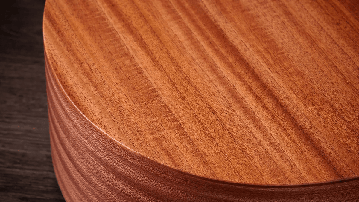 Taylor 24CE Grand Auditorium Single Cut A/E Guitar (Natural Mahogany) - Ray's Midbell Music