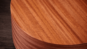 Taylor 24CE Grand Auditorium Single Cut A/E Guitar (Natural Mahogany) - Ray's Midbell Music