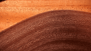 Taylor 24CE Grand Auditorium Single Cut A/E Guitar (Natural Mahogany) - Ray's Midbell Music