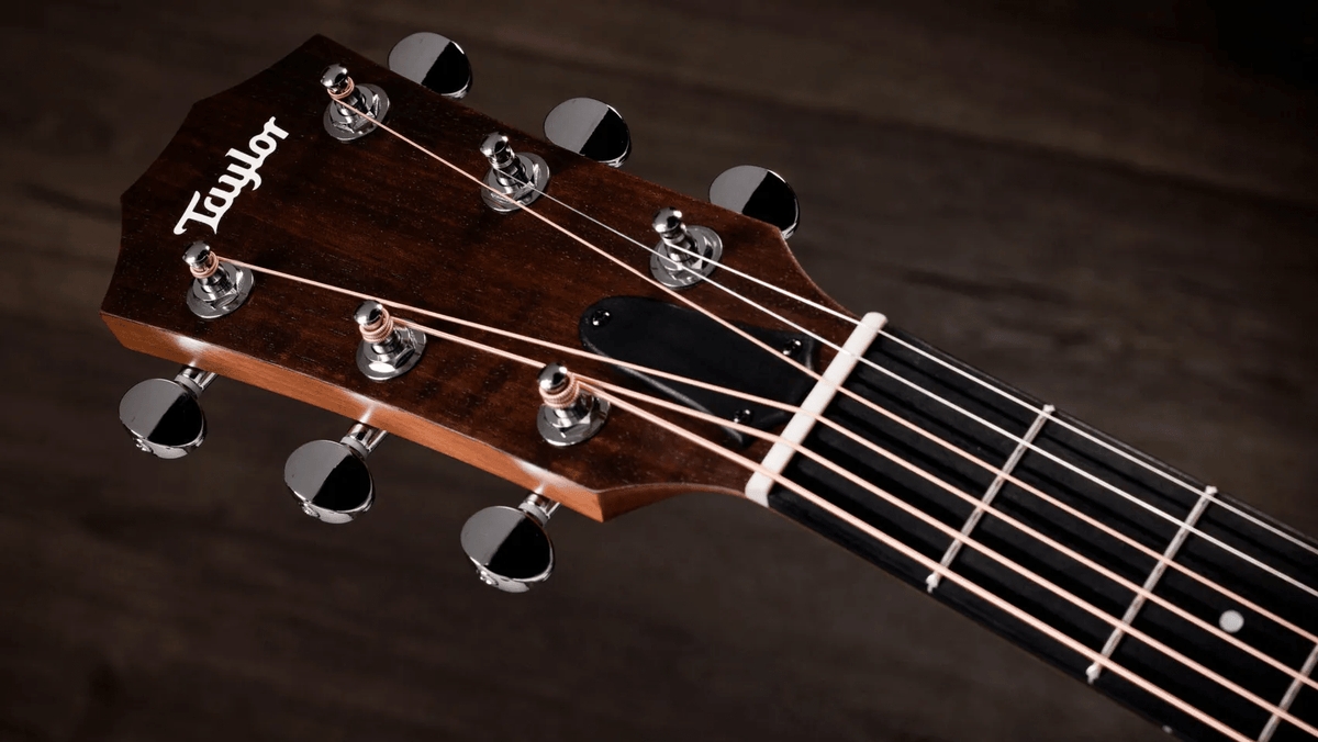 Taylor 24CE Grand Auditorium Single Cut A/E Guitar (Natural Mahogany) - Ray's Midbell Music