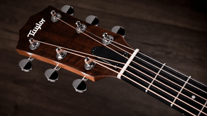 Taylor 24CE Grand Auditorium Single Cut A/E Guitar (Natural Mahogany) - Ray's Midbell Music