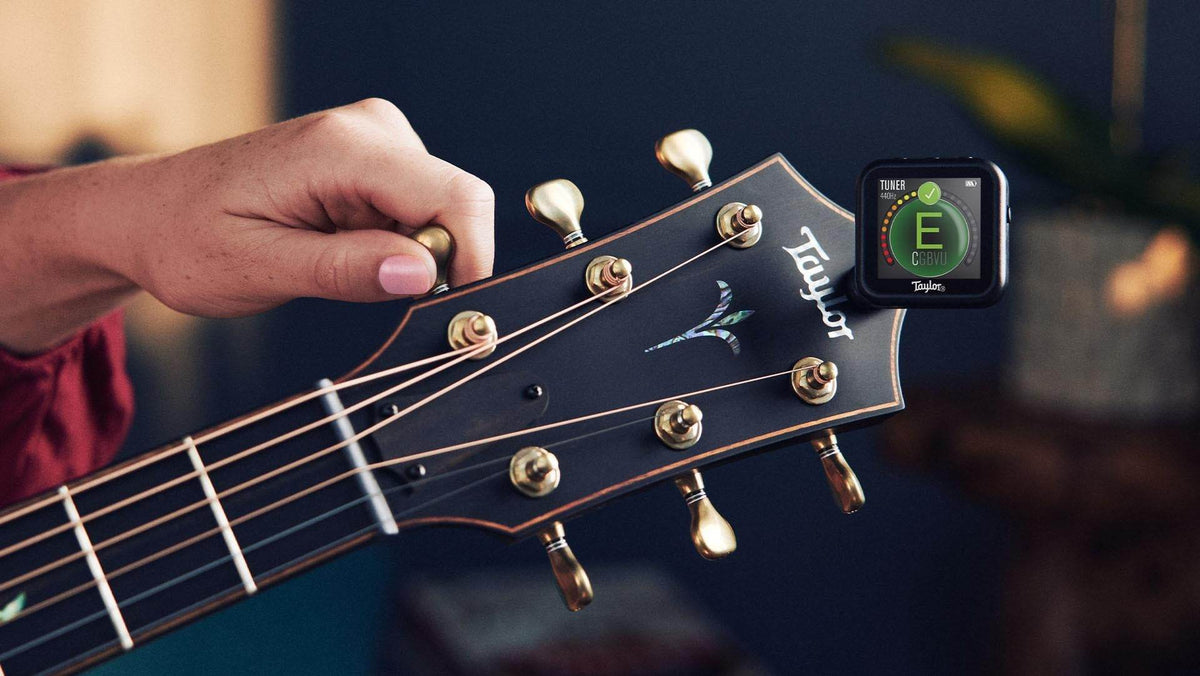 Taylor 1201 Beacon Clip-on Tuner/Metronome w/Timer, Countdown Clock & Flashlight - Ray's Midbell Music