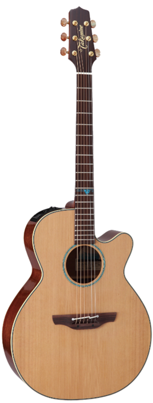Takamine JTAKTSF40C Professional NEX Acoustic/Electric Guitar w/ Case