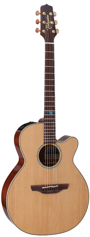 Takamine JTAKTSF40C Professional NEX Acoustic/Electric Guitar w/ Case