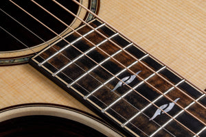 Taylor 814CE 800 Series Grand Auditorium A/E Guitar (Natural) - Ray's Midbell Music