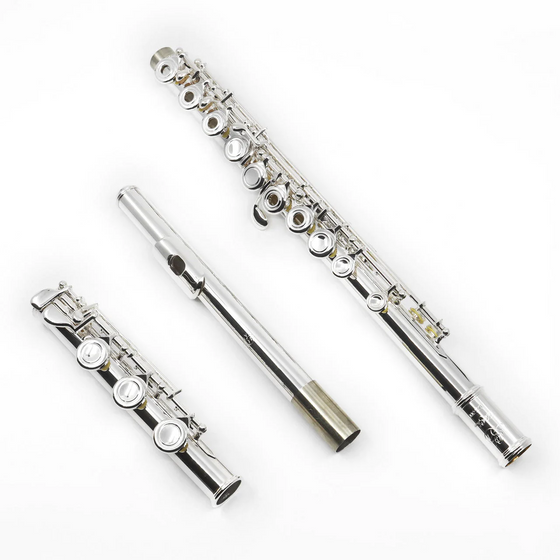Di Zhao DZ330BOF Sliver Plated Flute (Sterling Silver Lip Riser)