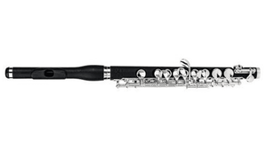 Di Zhao DZP102 Composite Body Piccolo - Ray's Midbell Music
