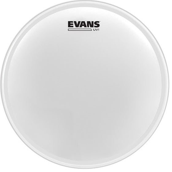 EVANS B10UV1 10" UV1 Coated Head