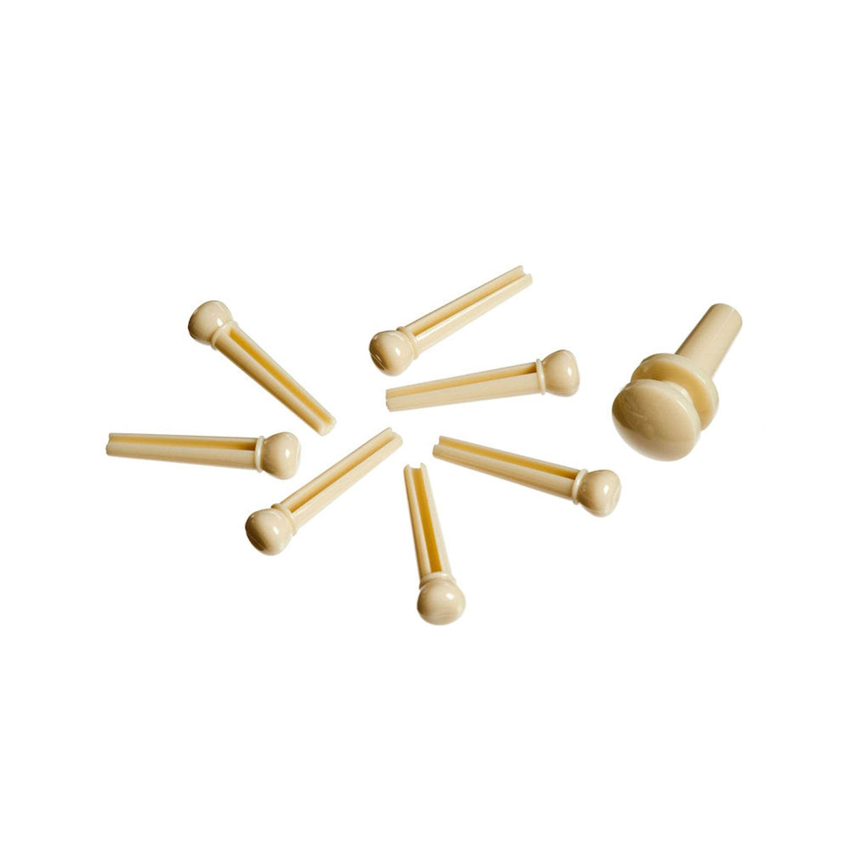 PLANET WAVES PWPS11 Bridge Pins/ End Pins Set Ivory - Ray's Midbell Music
