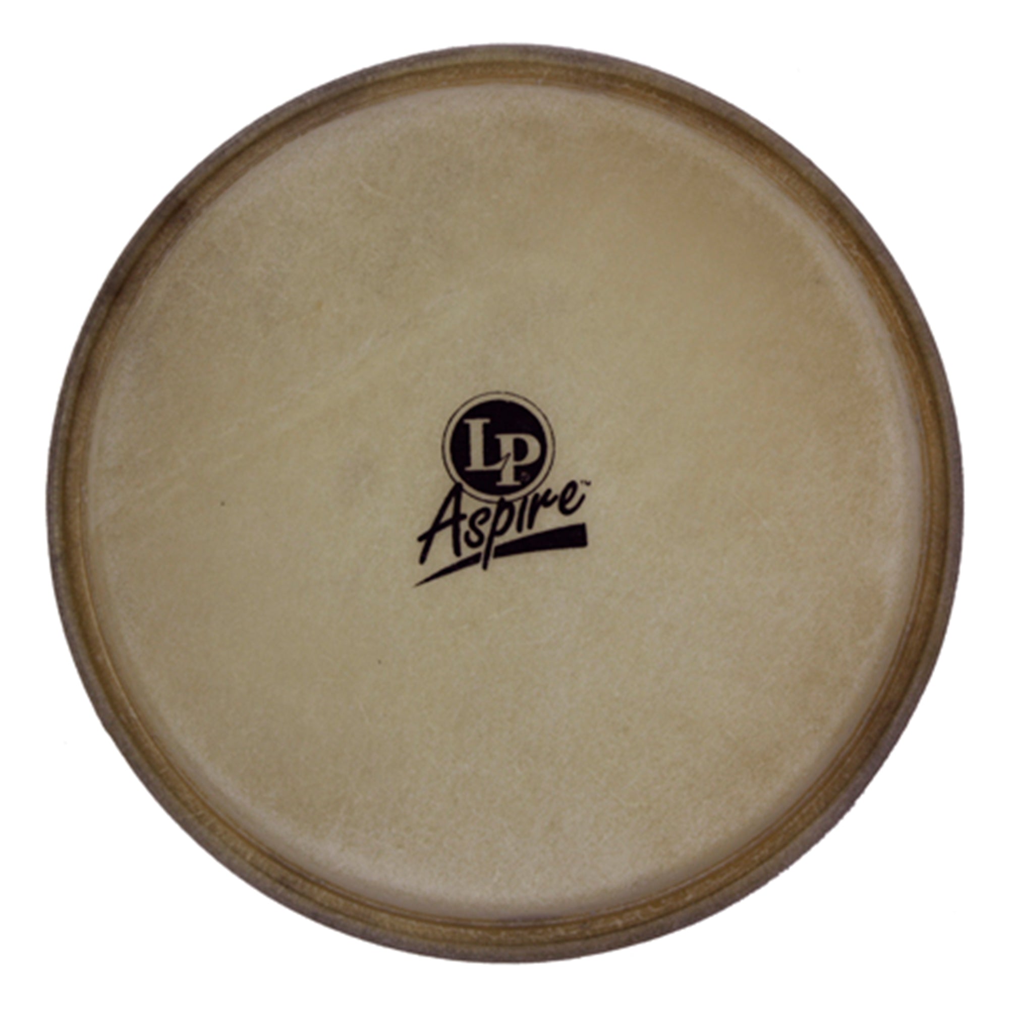 LP LPA663B 8" Bongo Head Aspire