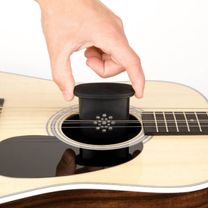 PLANET WAVES GHP Pro Guitar Humidifier - Ray's Midbell Music